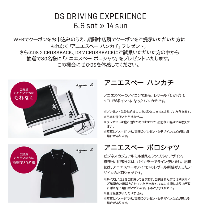 DS DRIVING EXPERIENCE