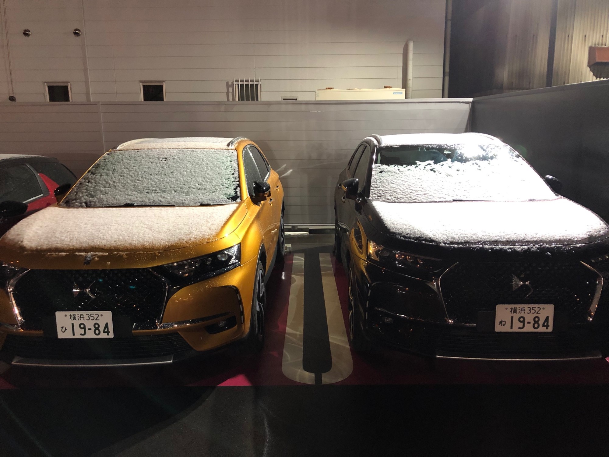 DS7×雪化粧