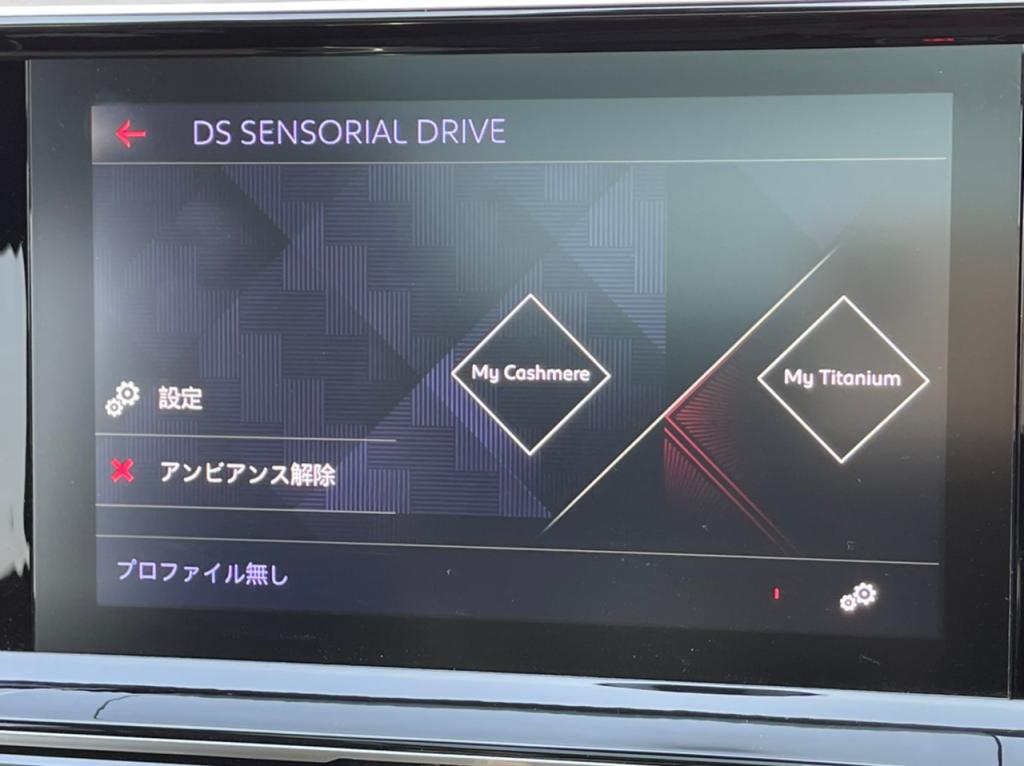 DS　センソリアル　ドライブ