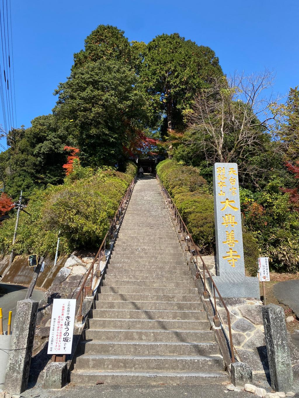 🍁🍃