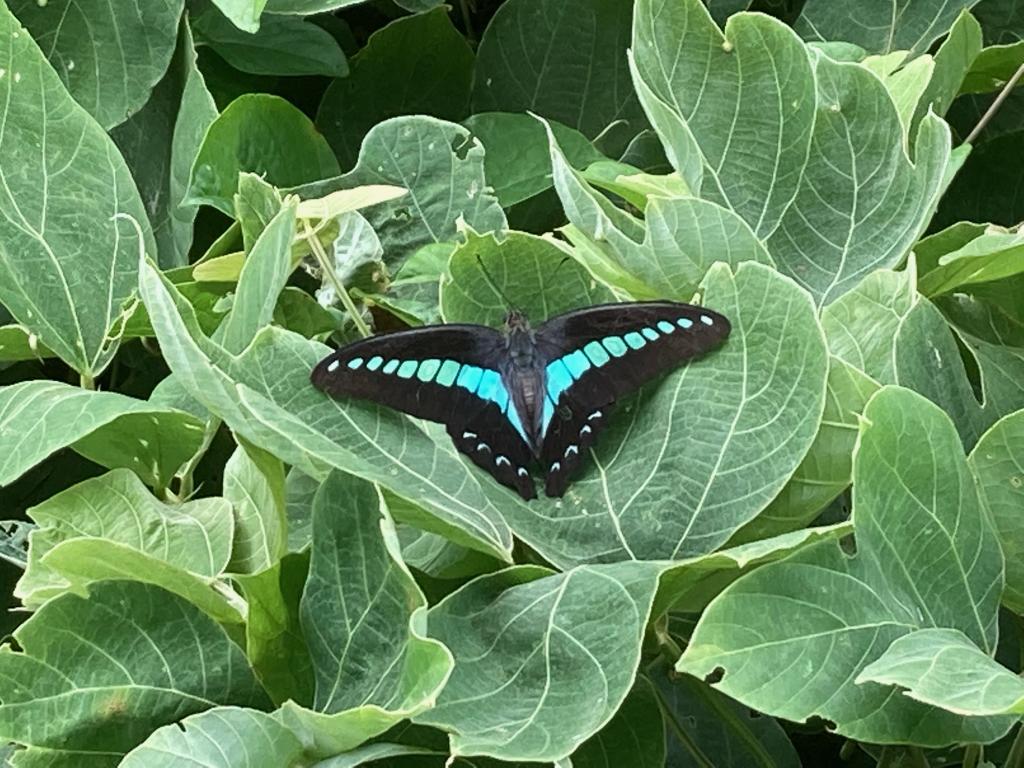 西公園に行って来ました！！　