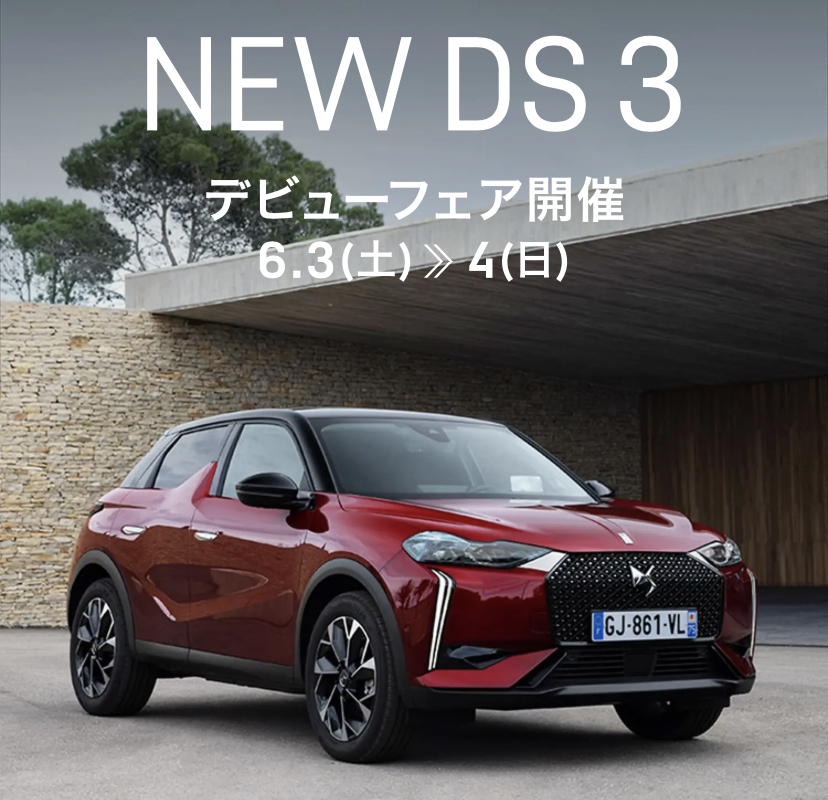 NEW DS3