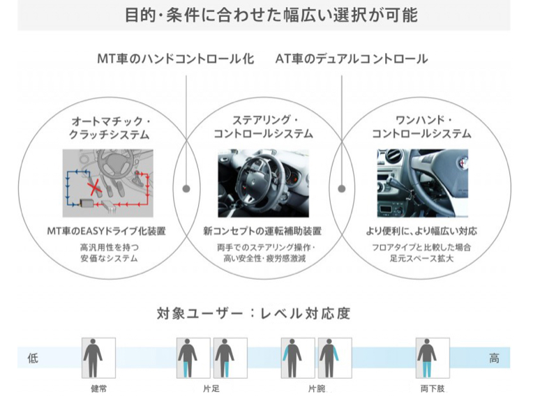 Guidosimplex’s Concept