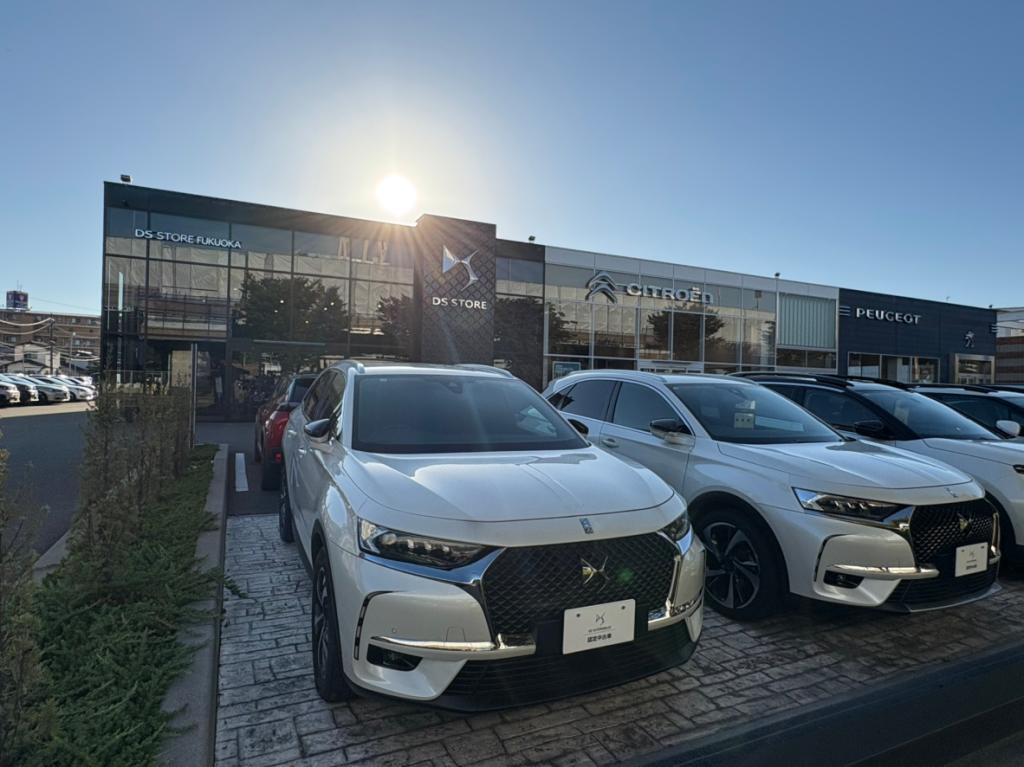 DS7🚙